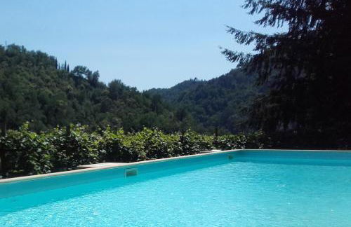 IL Bosco di Campo Marzano Sunlight - Foto 30