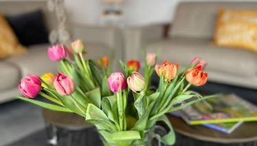 Ferienwohnung Sofie - Foto 3