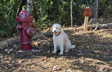 Meraki Escape - Foto 37