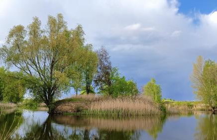 Gniazdo w Felicjanowie - Foto 11