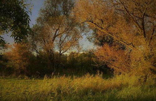 Feriendomizil Wohltat - Foto 35