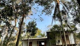 Bosque na Montanha Encantada - Foto 1