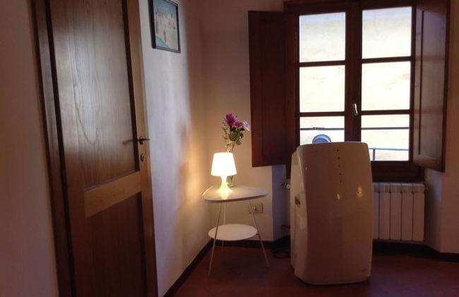 Vellutini Number One - Foto 60