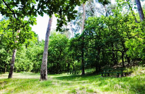 Modrzewiowe Wzgorze - Foto 33