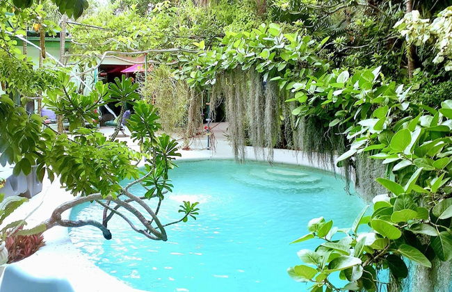 Unique Art Nature Hideaway Walkable to Wilton Drive - Foto 13