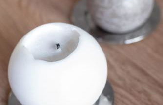 Salamandra - Photo 17