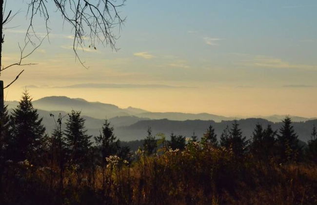 Hideaway Near Black Forest - Foto 25