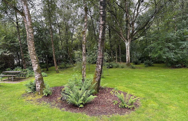 4 Person Holiday Home in Aabybro - Photo 13