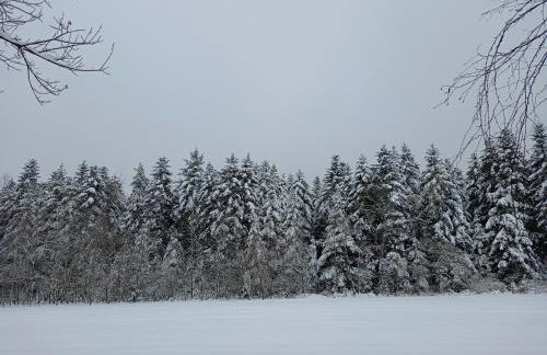 Chata Miła Agroturystyka - Foto 13