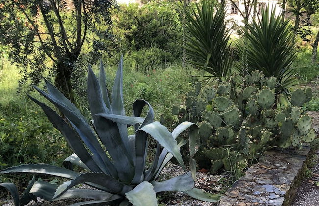 Mimosa Village - Foto 40