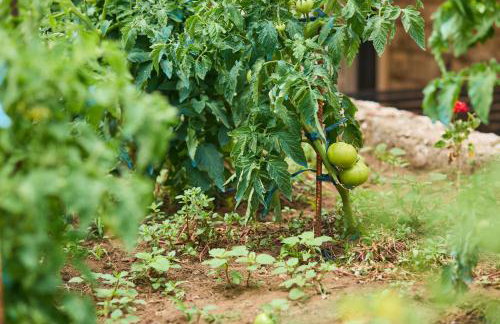 Beloc House Lopud Island - Photo 74