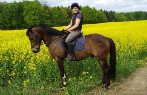 Ponyhof Naeve am Wittensee - Foto 9