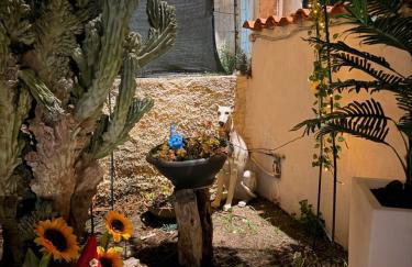 Casa Helios - Photo 36