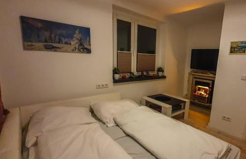 Ferienhaus Harzblick - Photo 9