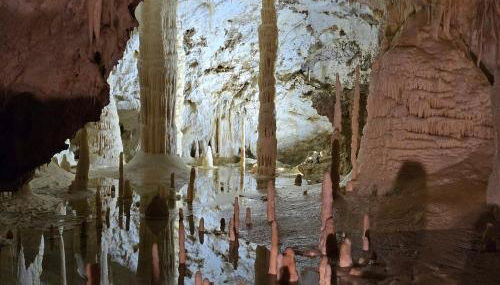 Libera Mente - Foto 5