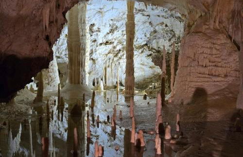 Libera Mente - Foto 5