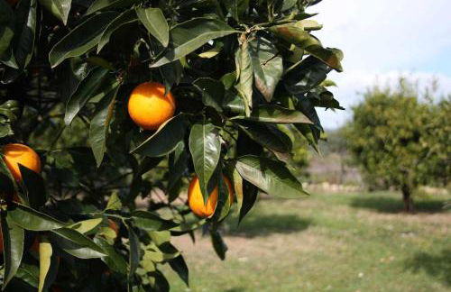 Domus Sol Aria - Foto 57