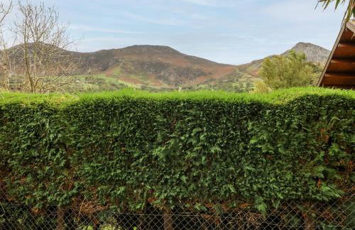 Bythynnod Newydd - Foto 28