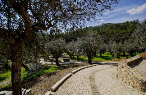 Xisto Sentido - Foto 26