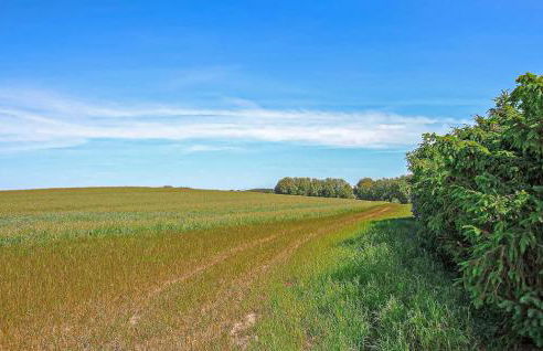 Ferienwohnung Klink - Foto 13