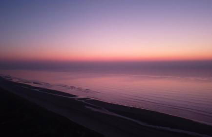 La villa dans les pins - Photo 47