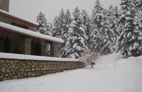 Anemoria Chalets-Castalia Chalet - Foto 4