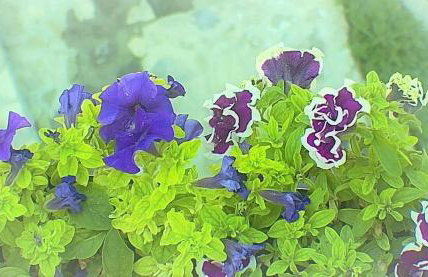 Villa Maria - Foto 25