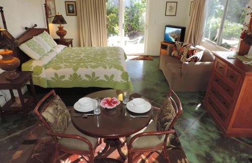 Hale Pua Villa - Seaside Studio - Foto 22