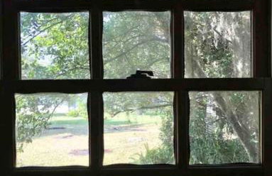 The perfect Little Cottage for your gateway! - Foto 13