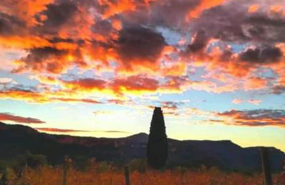 Molí dels Aubins - Foto 9