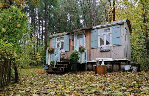 BAUWAGEN Lilly in Hemmoor - Foto 13