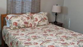 Mimi's Cabin - Photo 4