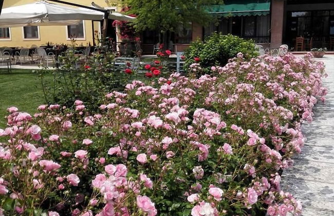 Agriturismo La Borina - Foto 73