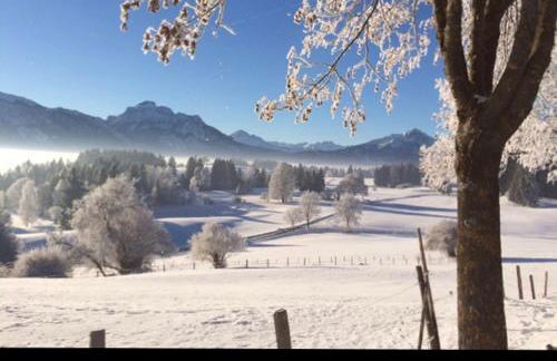 Erholsamer Traumurlaub wo auf Bergen Schlößer wachsen - Foto 12