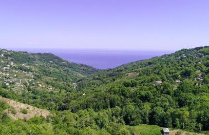 The Mushroom Cottage - Foto 16