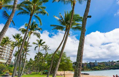 Beachfront Bungalow Walk to Ocean & Restaurants - Foto 48