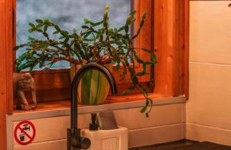 Wild Rose Samobor - Foto 20