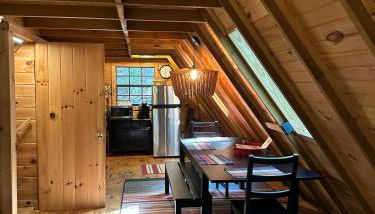 Bearly Behavin - Foto 5