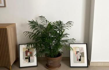 La Casita Málaga - Photo 5