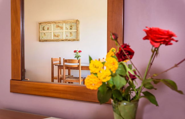 Irinoula Dreams - Photo 3