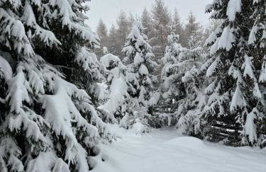 Domek na Polance - Foto 17