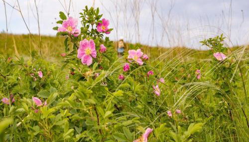 Lavish holiday home in Oberhambach - Foto 5