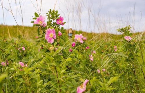 Family holiday home in Hambachtal Holiday Park - Foto 47