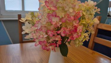 Ferienwohnung Rendelchen - Photo 2