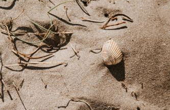 Mas Andalou Fabuleuse première ligne de mer, plage privative - Foto 35
