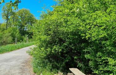 Ferienwohnung Lolek - Foto 39
