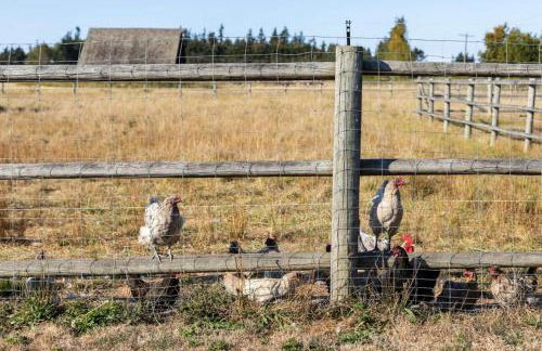 Frontier Farmhouse-Sauna &HT - Foto 49