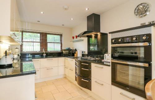 The Lillies - Foto 7