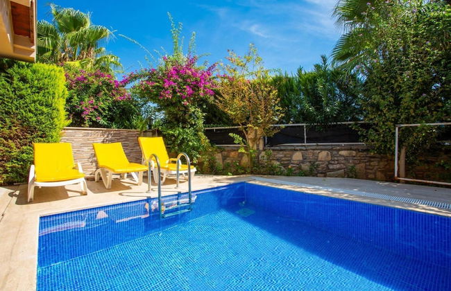 Villa Aysel Paradise Private Pool A C Wifi Car Not Required Eco-friendly - 2238 - Photo 4