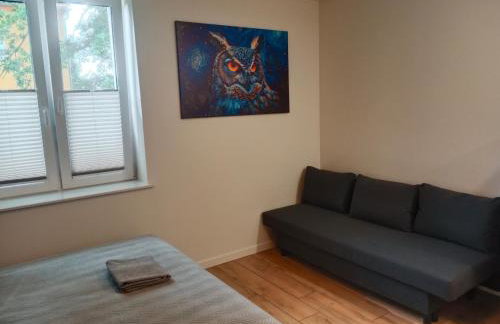 Wojska Polskiego 18 - Foto 8